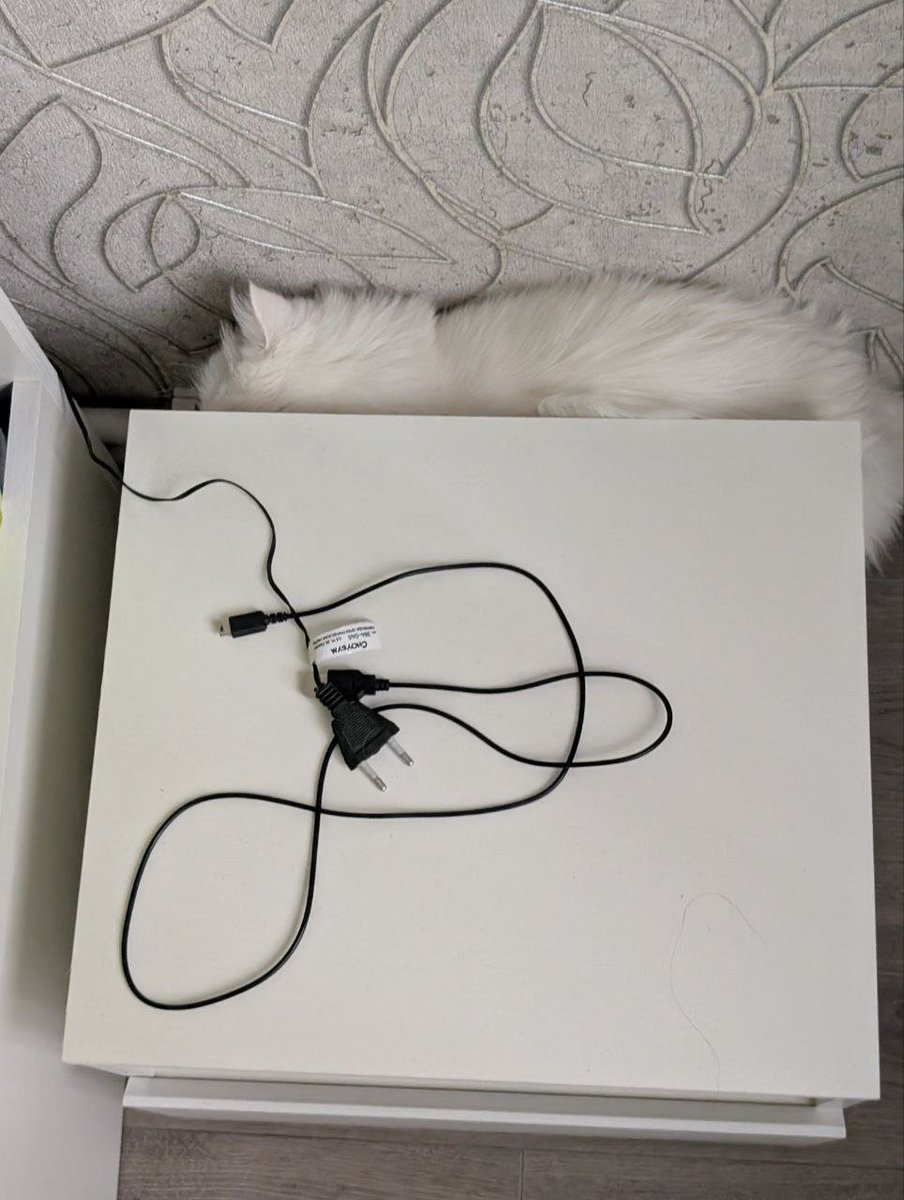 Timur Kagarmanov tweet media