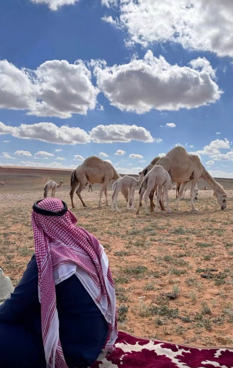 الدوسري tweet media
