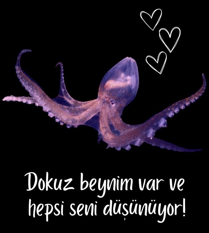 🫶<a href="/BrtssMrv1/">@BrtssMrv</a> 🫶🌵🌵☺️☺️