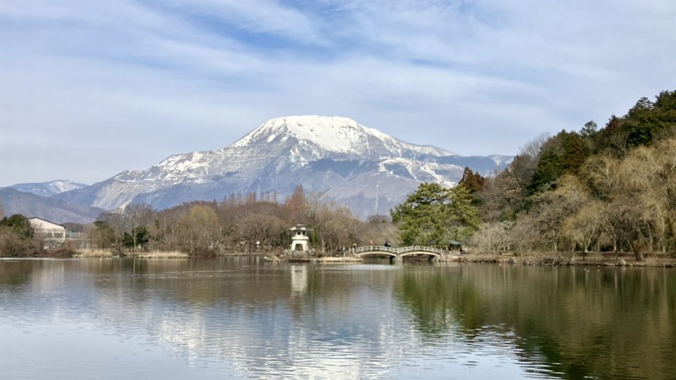 yamagara271's tweet photo. 今日は滋賀県米原市の三島池へ水鳥達を観察してきました

天気がよく伊吹山が綺麗でした https://t.co/3w8YuynsYM
