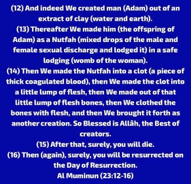 Man’s journey begins when a sperm is placed in his mother’s womb &amp; ends with his final destiny,either in Paradise or Hell.

He was created without his will,dies without his desire,and is resurrected against his will,only to be held accountable for his deeds.
#destiny #Truth #life