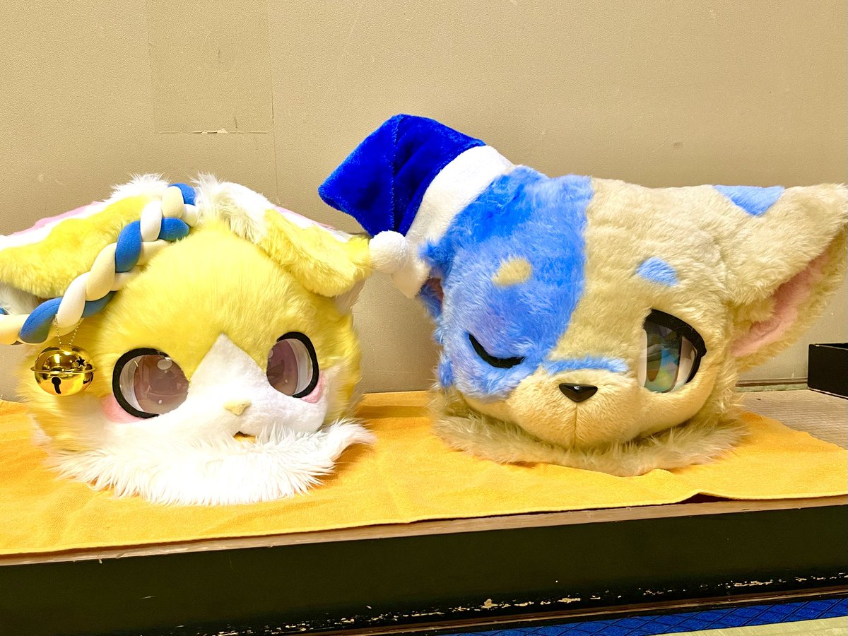 今日は私が来た側！すでに可愛いんだが??
もう来た甲斐があった(｡>﹏<｡)