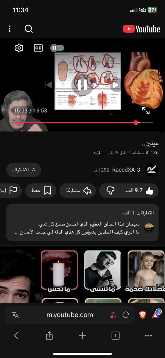 عبدالله🐱 tweet media