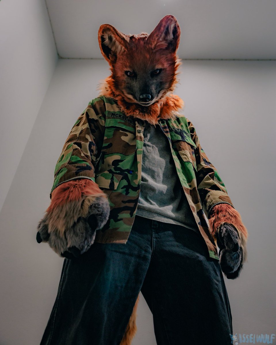 Unnamed_Dhole's tweet image. Eyes up here mutt…

📷:@IsseiWulf