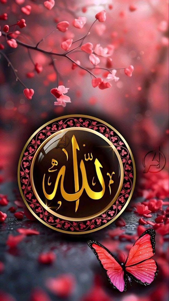 <a href="/Bora_0910/">Bora</a> kalbimize iman ışığı ver Ya Rab  
nurunu kalplerimize akıt Allahım 

🤲🐺