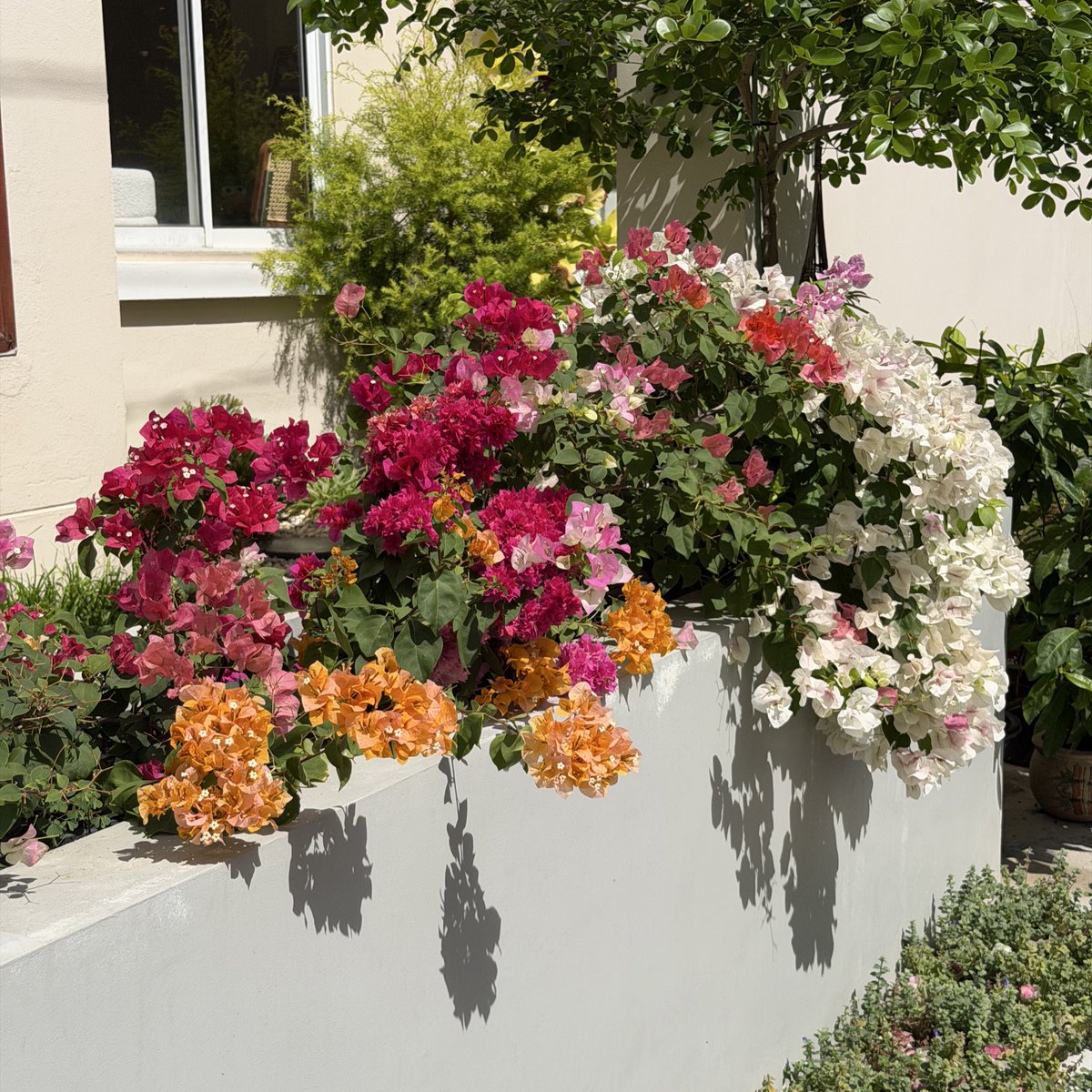 น่ารักมาก🌷