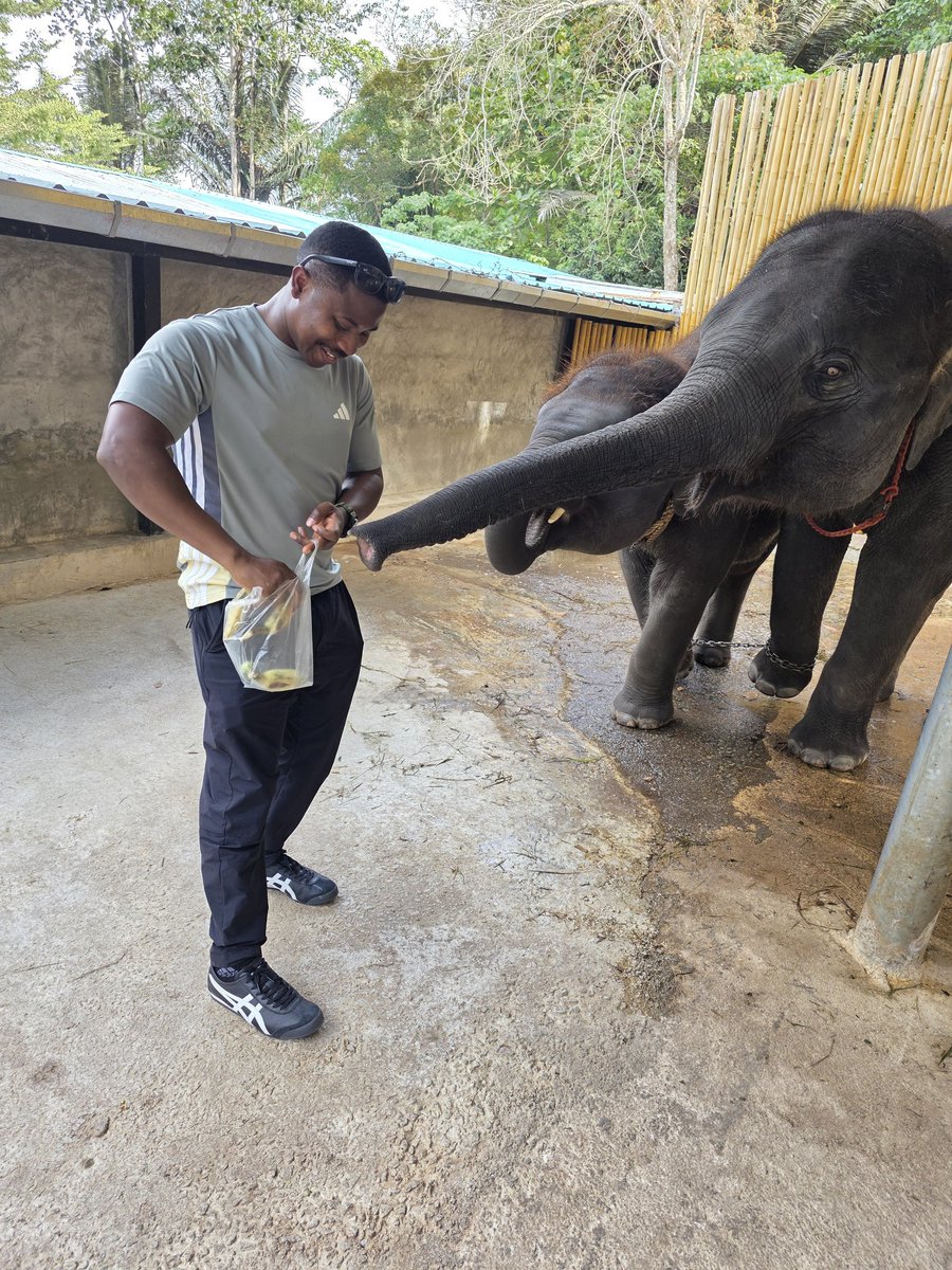 princeafe's tweet photo. Life in Thailand https://t.co/HevO9Bfovv