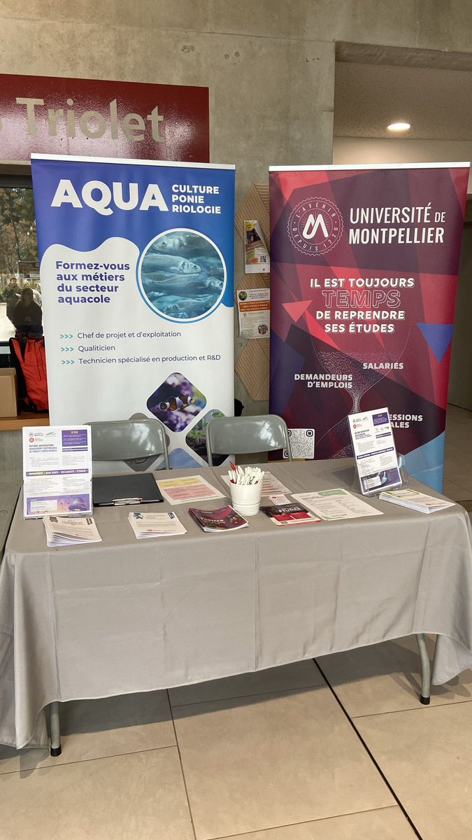 Formation Continue Université de Montpellier tweet media