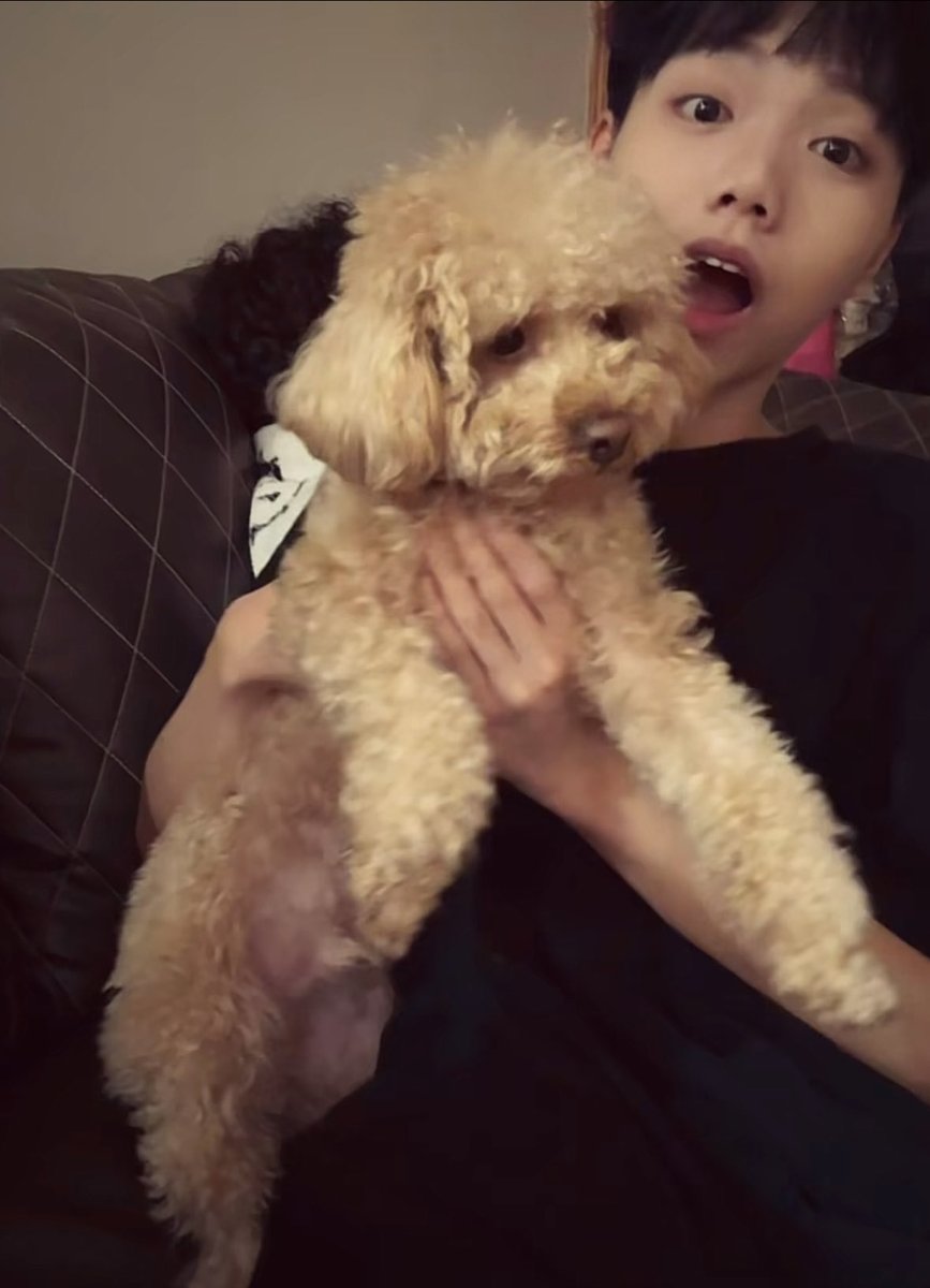 皮蛋瘦肉粥 tweet media