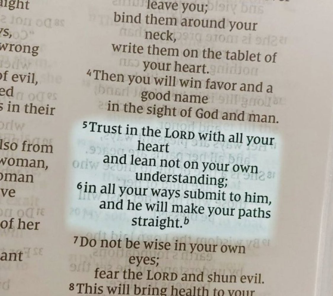 Bible 365 (@bible365_) on Twitter photo 