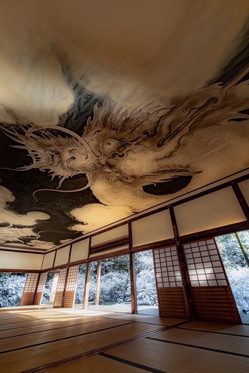 京都 西来院の天井に描かれた｢白龍図｣が圧巻でした。
