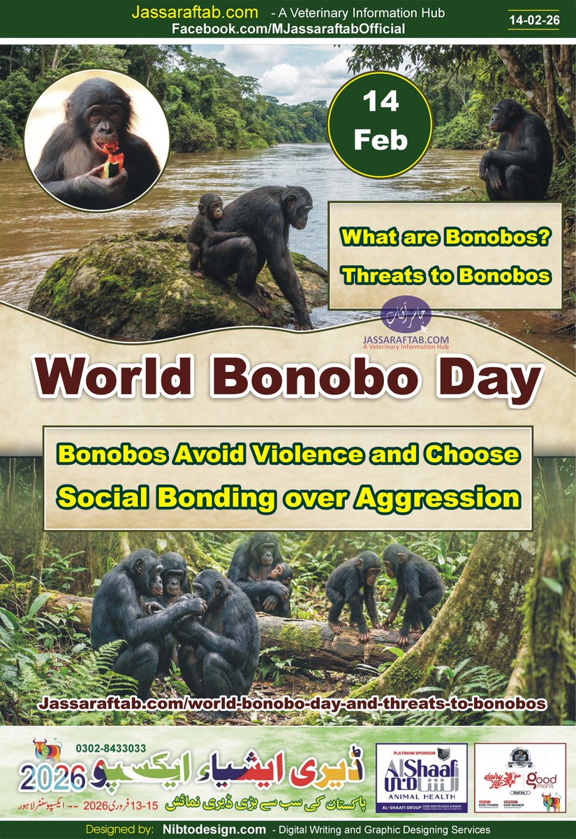 World Bonobo Day and Threats to Bonobos
jassaraftab.com/world-bonobo-d…