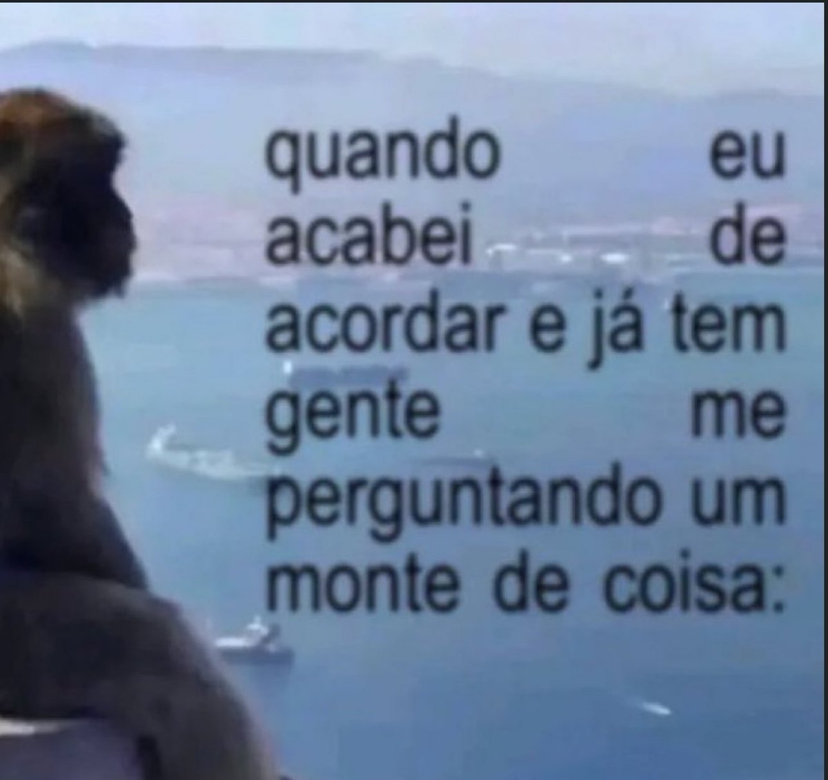 Shitpost só que de verdade tweet media