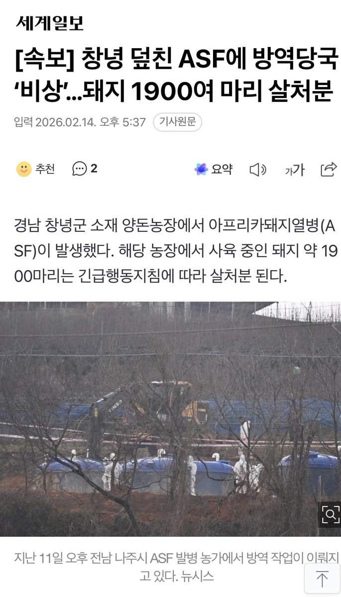 kyle yuk 🇰🇷 tweet media