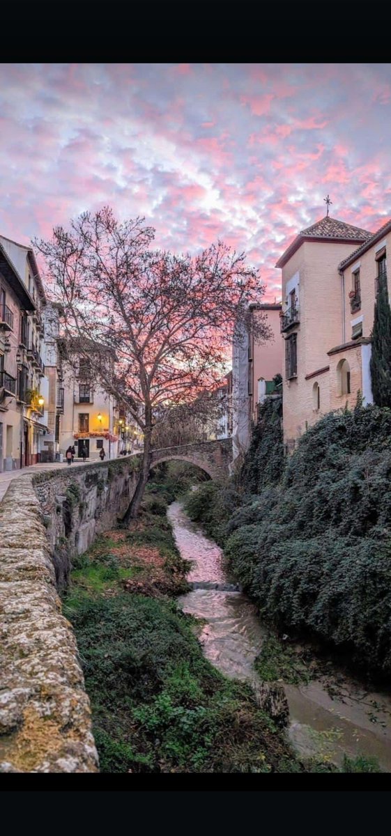 Gabriel10063125's tweet photo. Granada... https://t.co/gqlpzCVG17