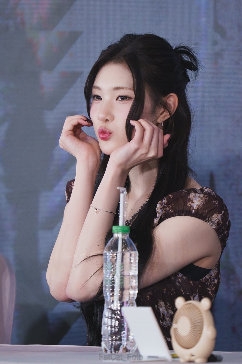 FatCat_Foto tweet media