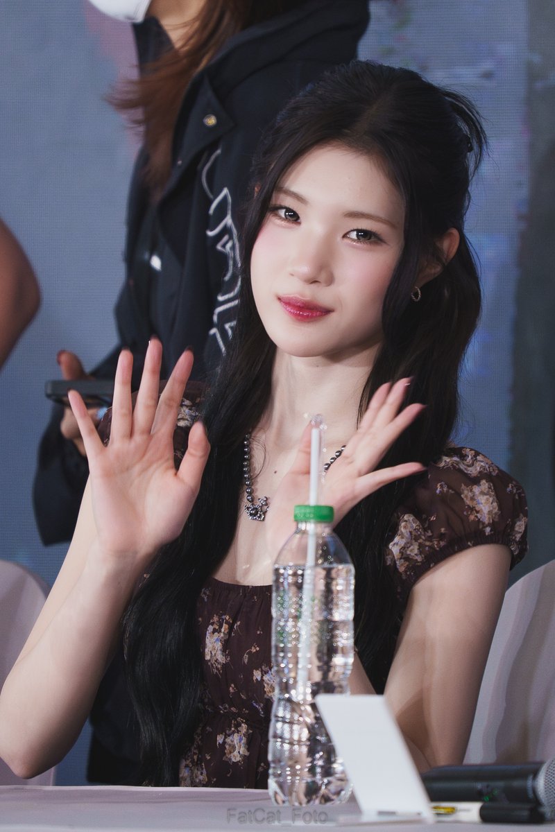 FatCat_Foto tweet media