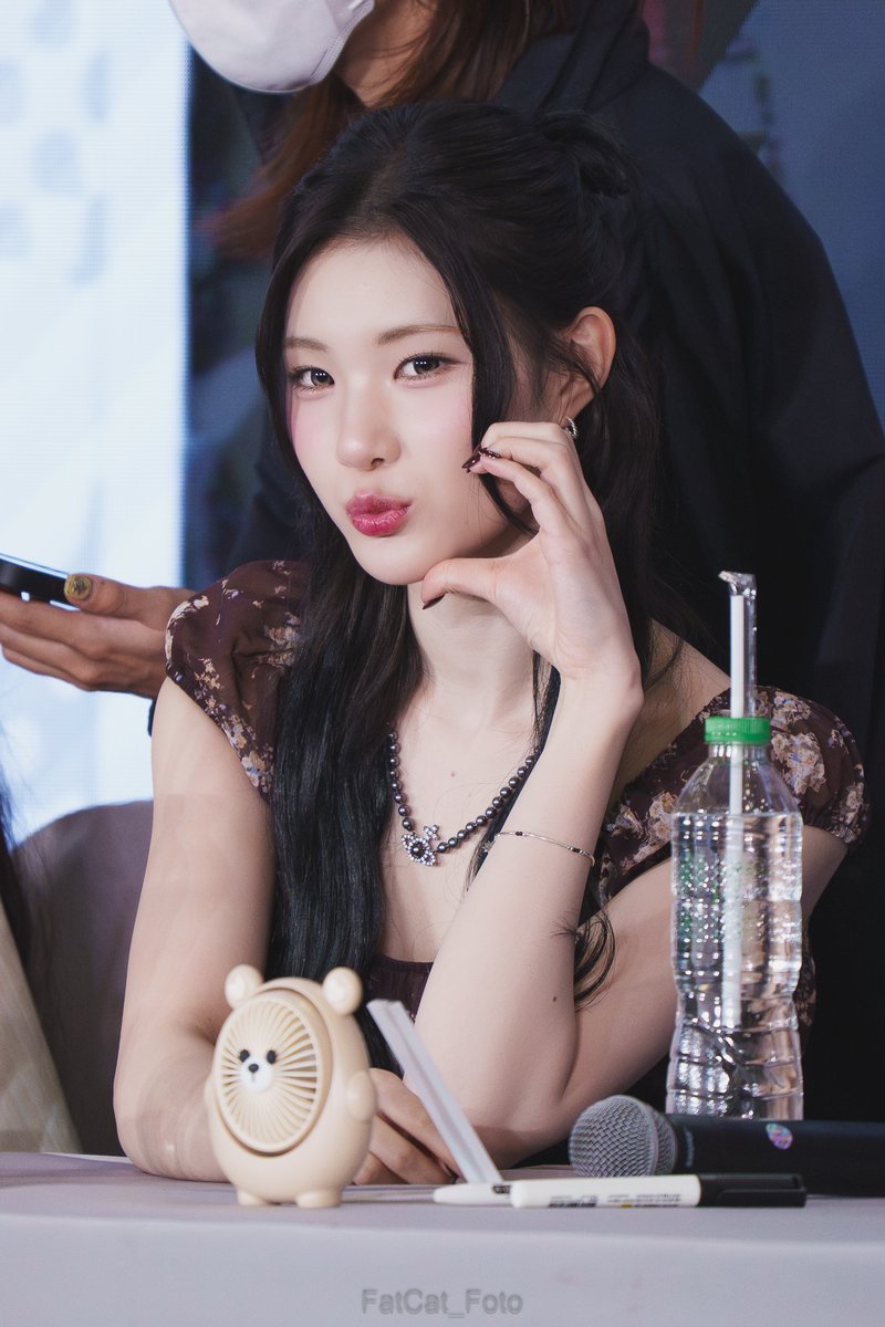 FatCat_Foto tweet media