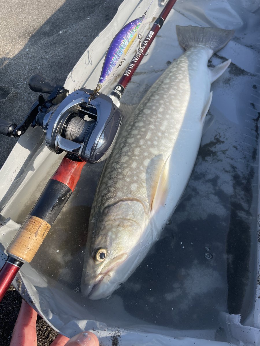 tanakacraft2021's tweet image. 島牧産良型アメマス出てくれました！
プロトミノーのショートピッチジャークで！
一緒に回ってくれた@s33nbhpvju4Kv4h さんありがとうございました！
お写真となんか魚入れるヤツ貸してくれた@comonoNABE さんありがとうございます！
楽しかったー！！
#タナカクラフト 
#fishman 
#BKK
#Daiwa