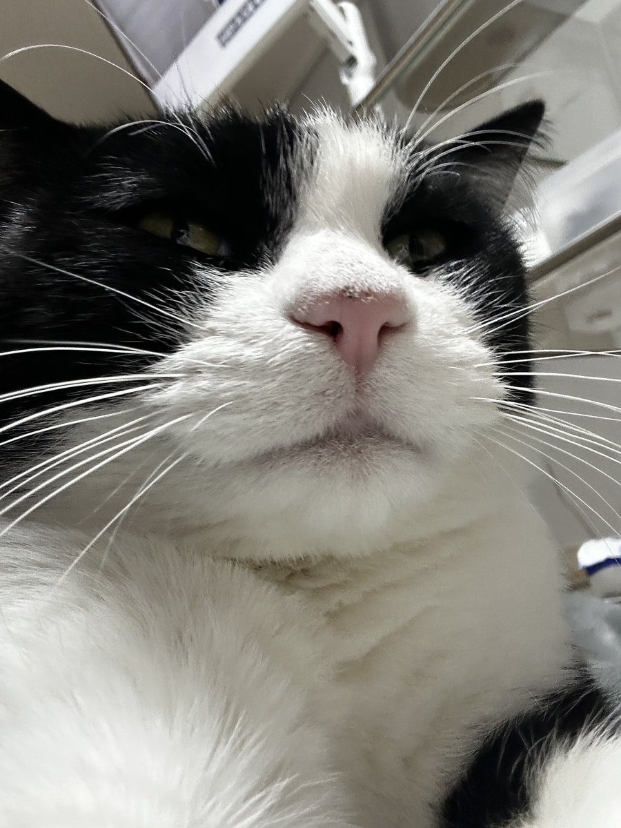 왜요 제가 알티스타로 보이나요?