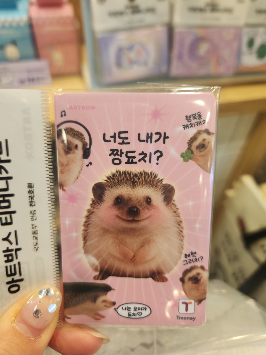 이게 웬 도치냐!! 이렇게 귀여운 디자인을 내다니...