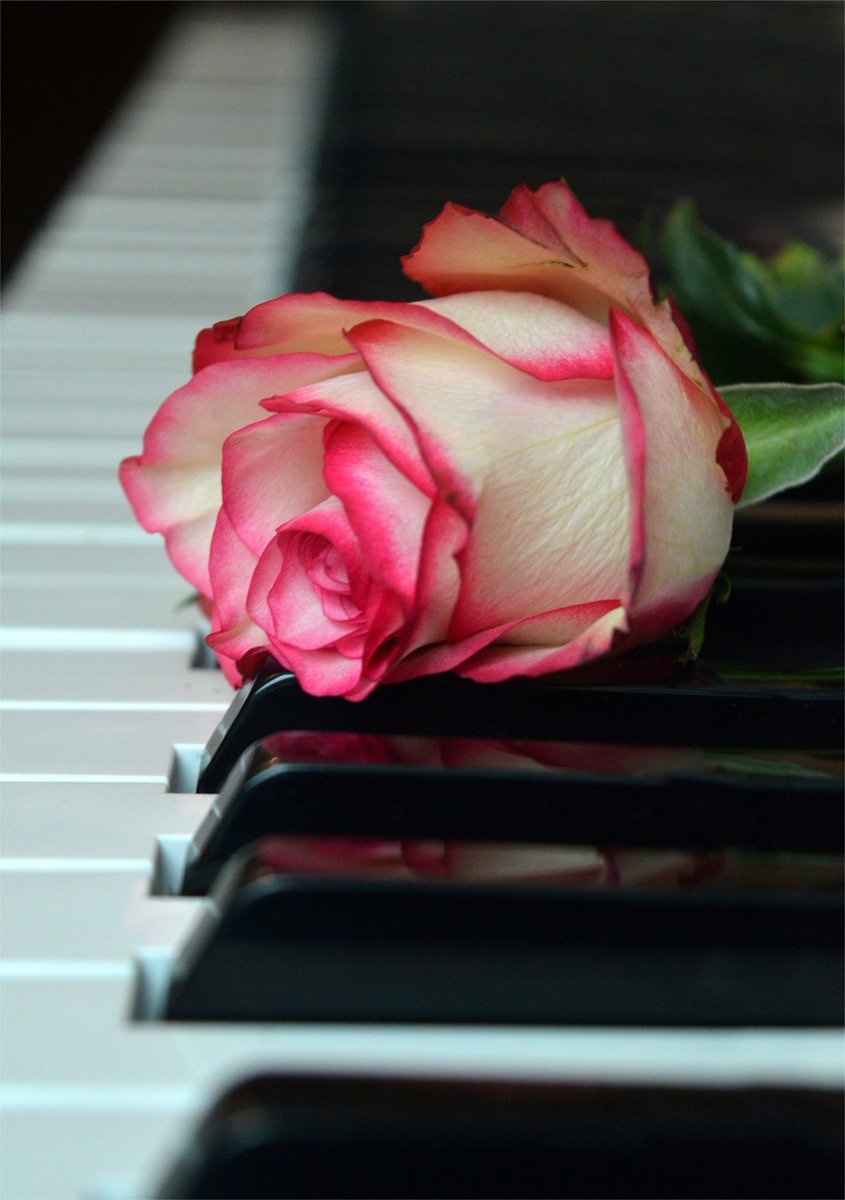 <a href="/IronL21946/">Iron Lady</a> Your words are always filled with such genuine warmth, dear Inge… and today is indeed a lovely excuse to remind beautiful souls like you how much they are appreciated too 🥰 Thank you for the kindness you share so freely — Happy St. Valentine’s Day dearest Inge❣️❣️