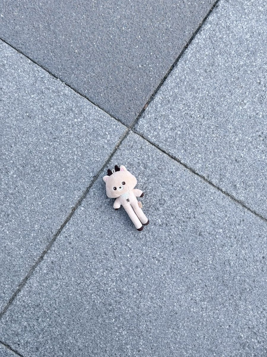 cherrysapzuza's tweet image. ใครทำลูกตกมั้ยคะ ตกตของซองชาน เราเอาน้องนั่งไว้ที่พุ่มไม้ตรงเสาธงนะคะ 
#SMTOWNLIVE2025_26_BANGKOK