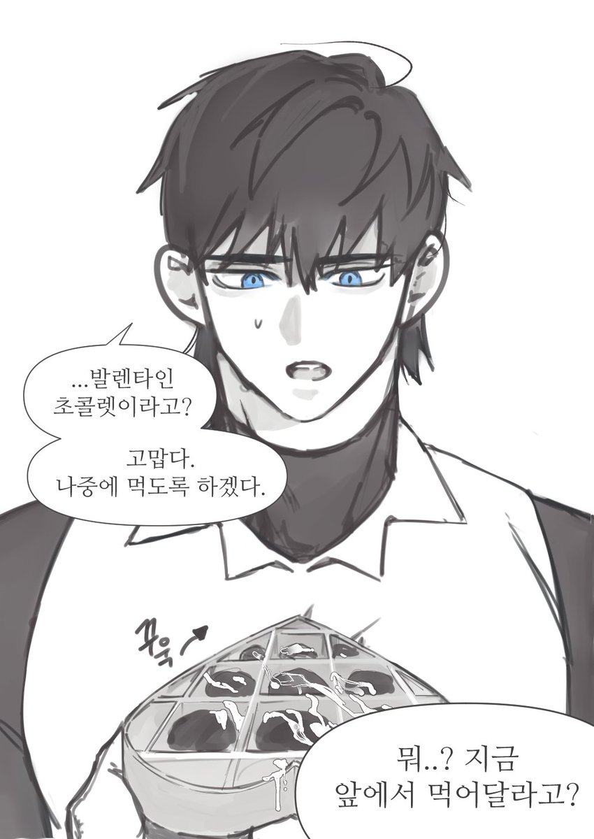 여러분들의 마음이 전달 되었습니다..
발렌타인 초콜릿 (엔키른)