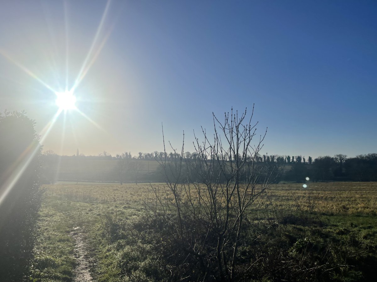 Lee Hearn tweet media