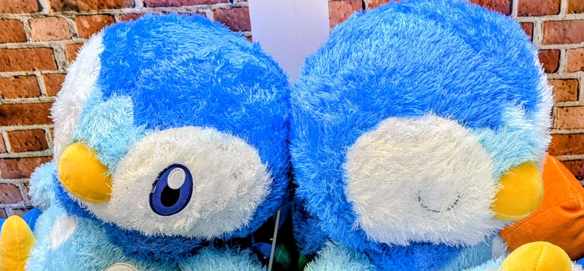 ポッチャマのビッグサイズぬいぐるみ💙／ 「 めちゃもふぐっと