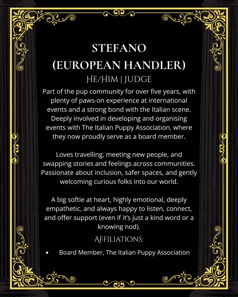 European Puppy And Handler tweet media