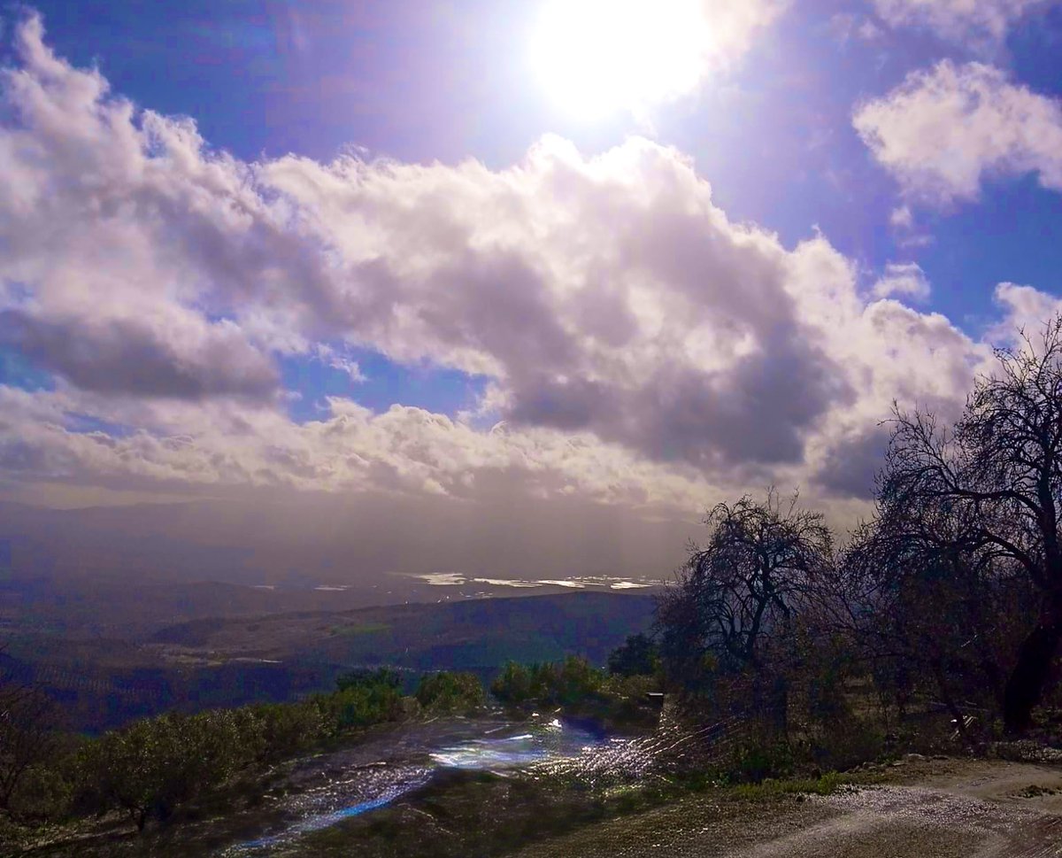 tiempo en Granada tweet media