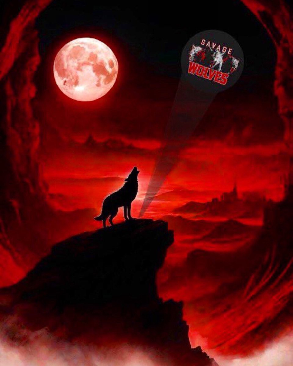 SavageWolves tweet media
