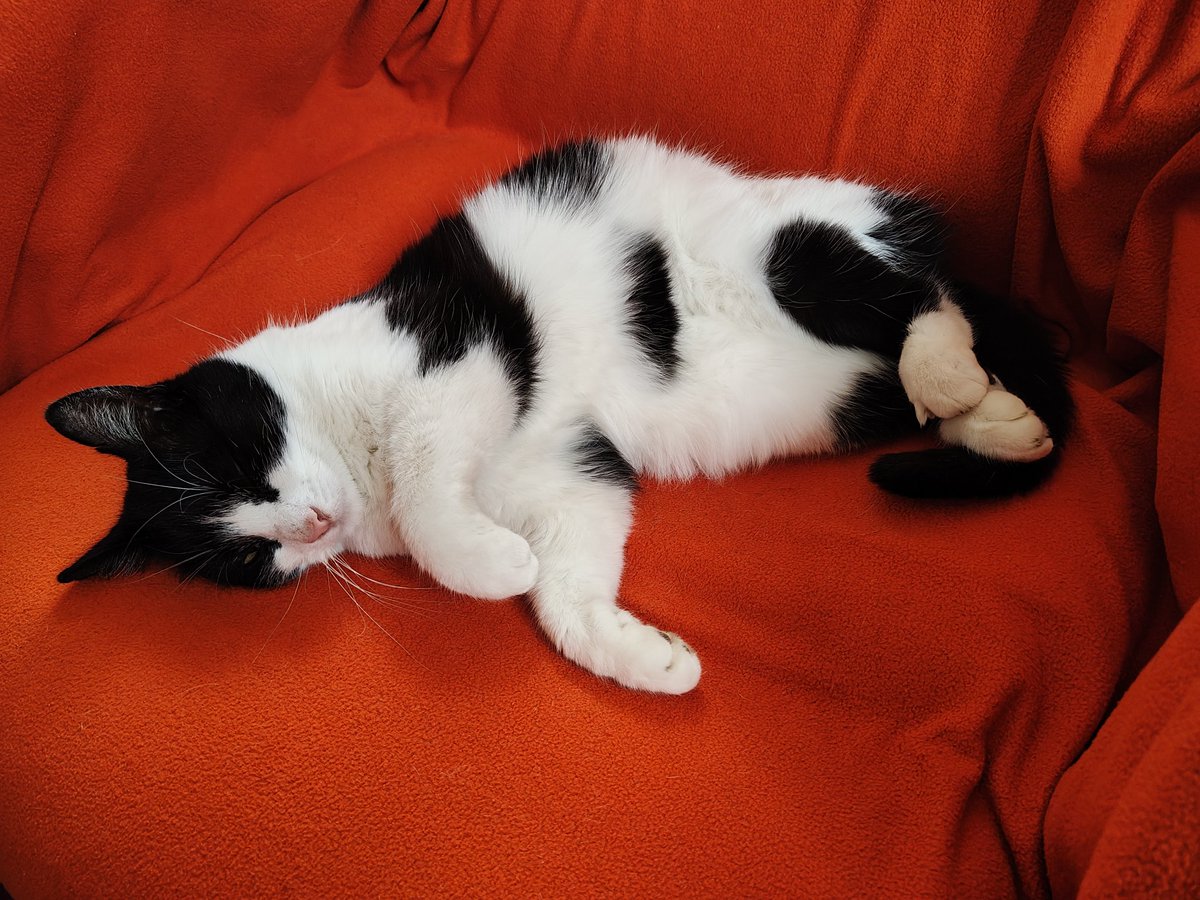 Happy Valentine's Day! 🌹💘