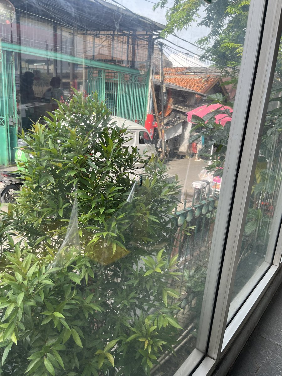 Ini lalat atau serangga gede bgt dah