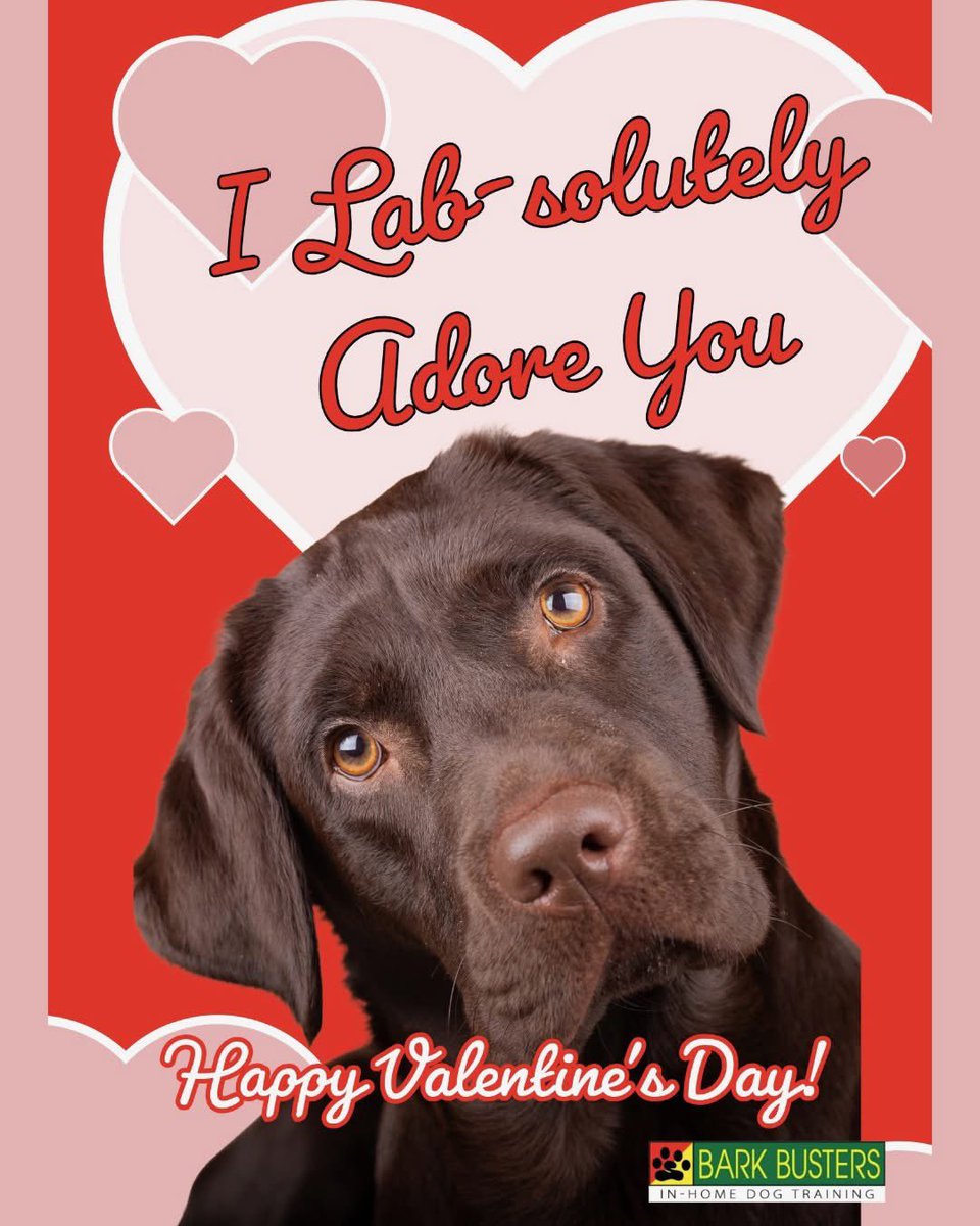 TO: You and your dog 🥰
FROM: Bark Busters Canada 💕