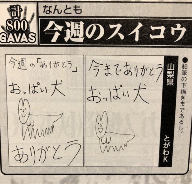 とがわK その後。 tweet media