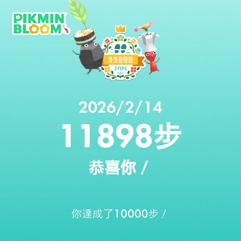 chiachia.bnb tweet media