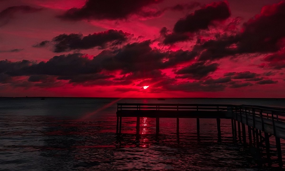 purepeaceful's tweet image. 