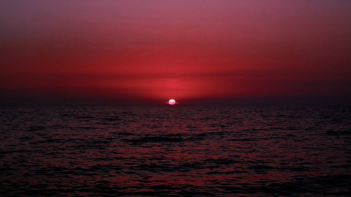 purepeaceful's tweet image. 