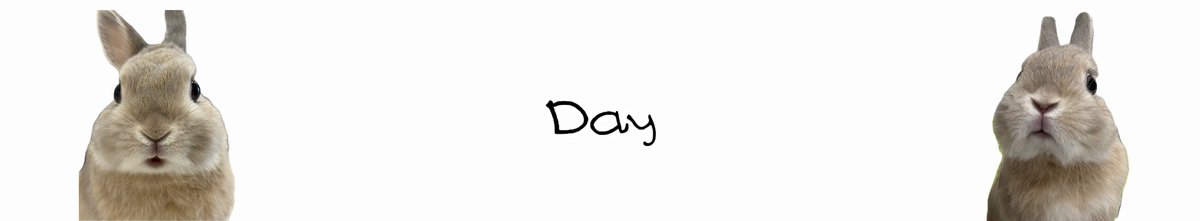 うさぎのもか tweet media