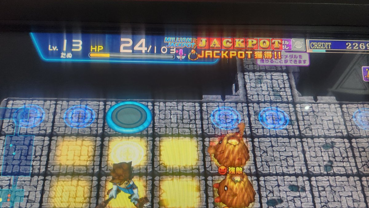 たぬたぬ (@pontanu76) / Posts / X