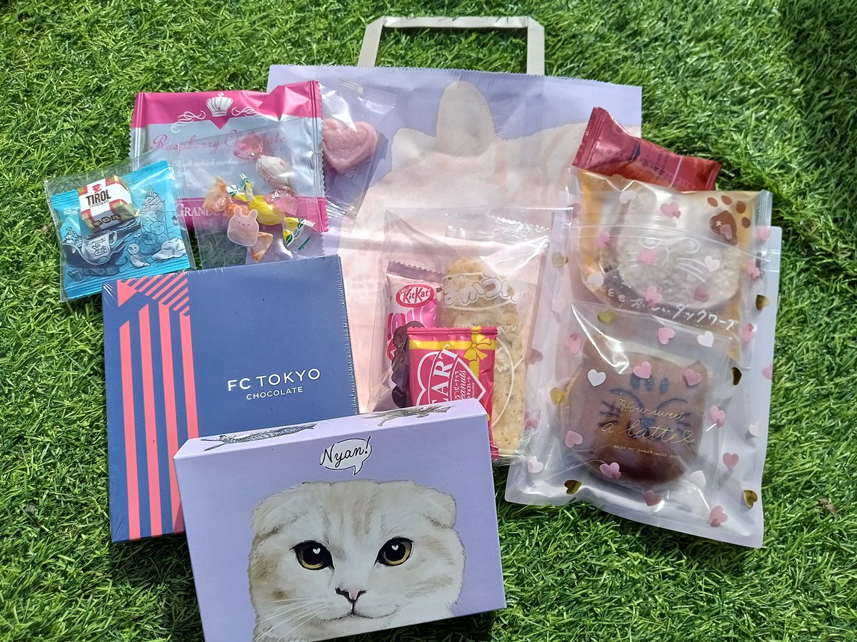 はちわれ (@hachiware_y) / Posts / X