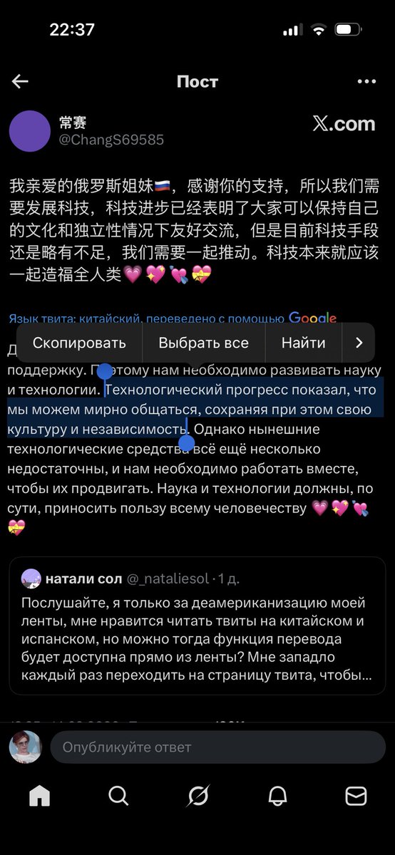 avgi bear tweet media