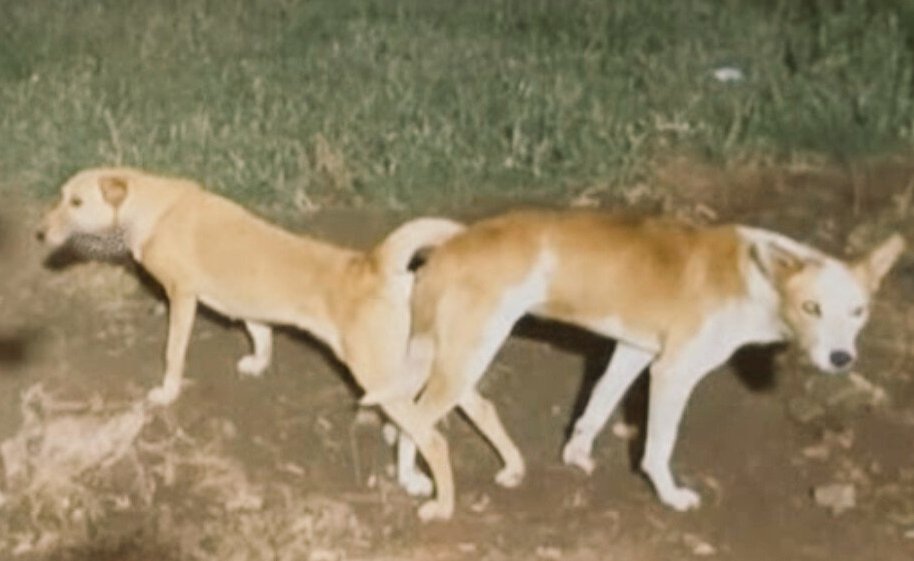 A rare photo of Josh and your Dad