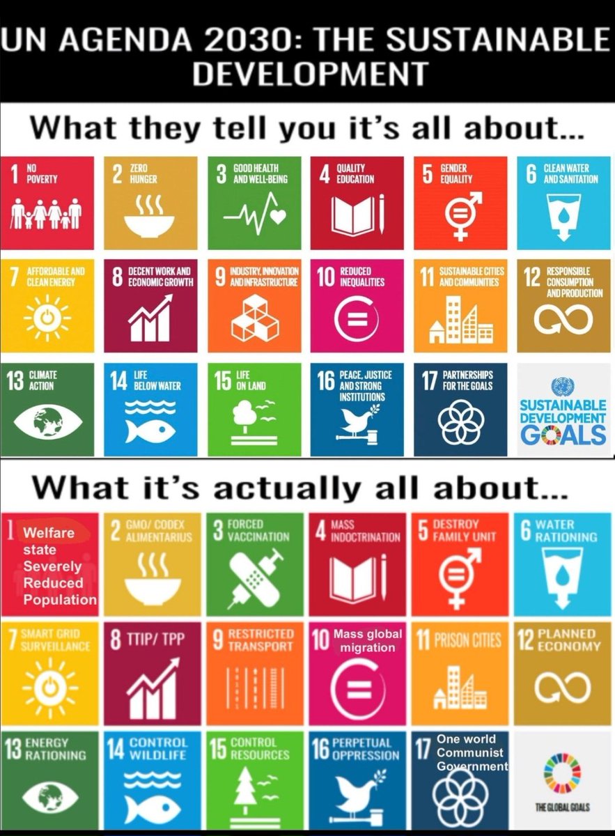 Anja🇷🇺🕊 tweet media