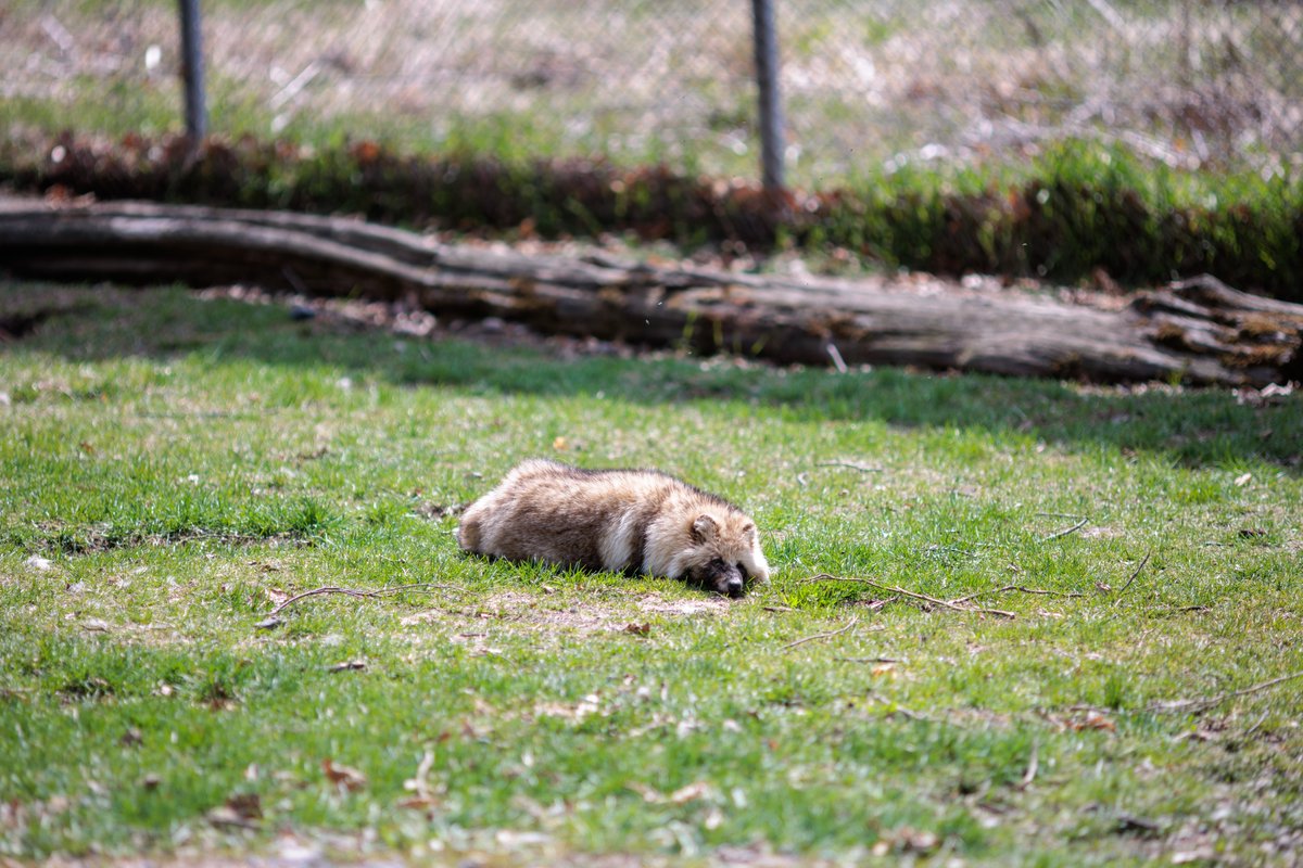 LIA🦊🔖へっぽこ tweet media