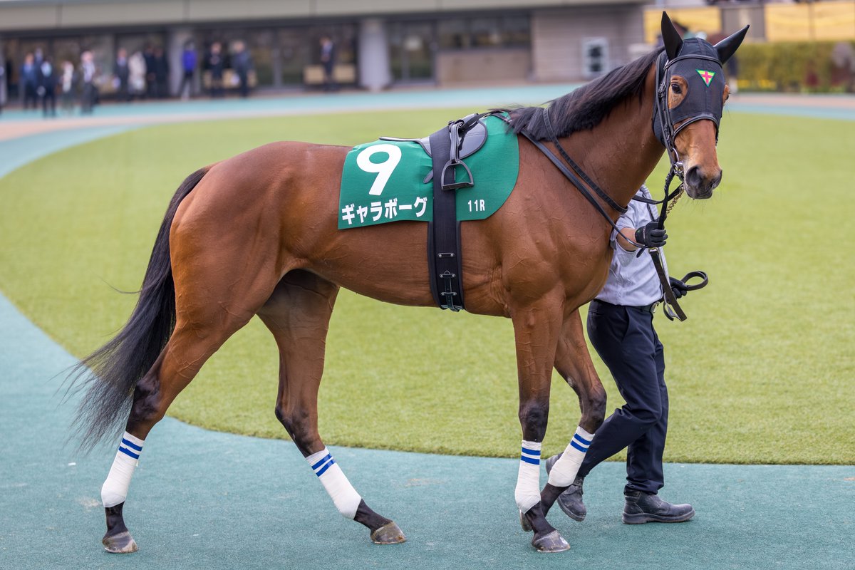 くろもも (@kuroromomota) / Posts / X