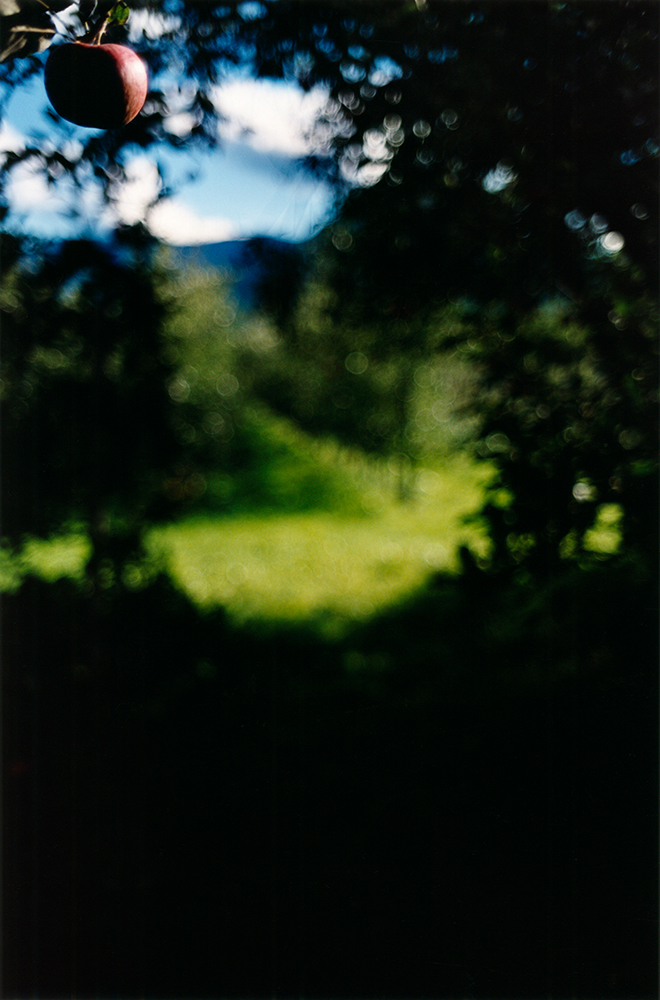 Terri Weifenbach . .