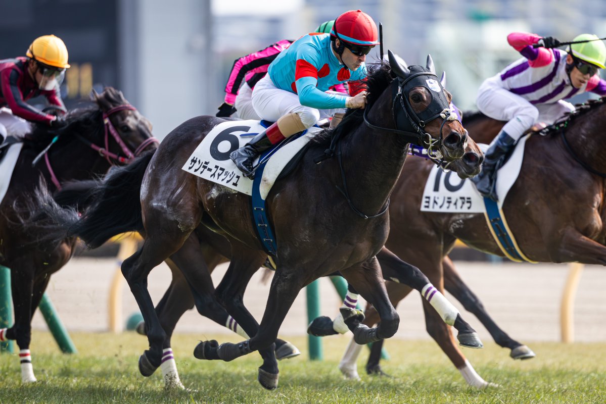 くろもも (@kuroromomota) / Posts / X